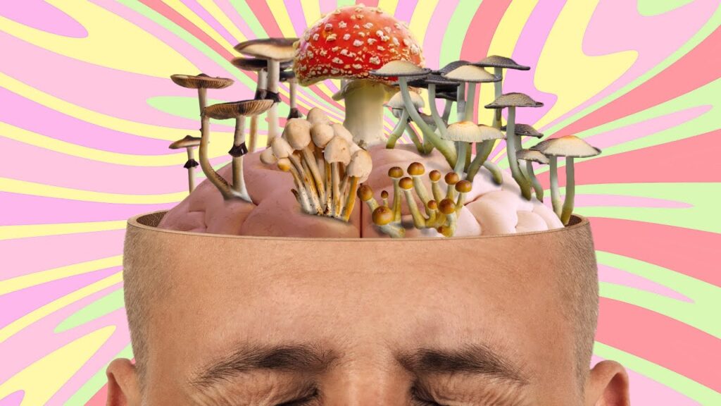 How Long Do Shrooms Last in Your Body?